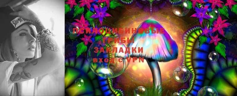 где найти   Гремячинск  Галлюциногенные грибы Cubensis 